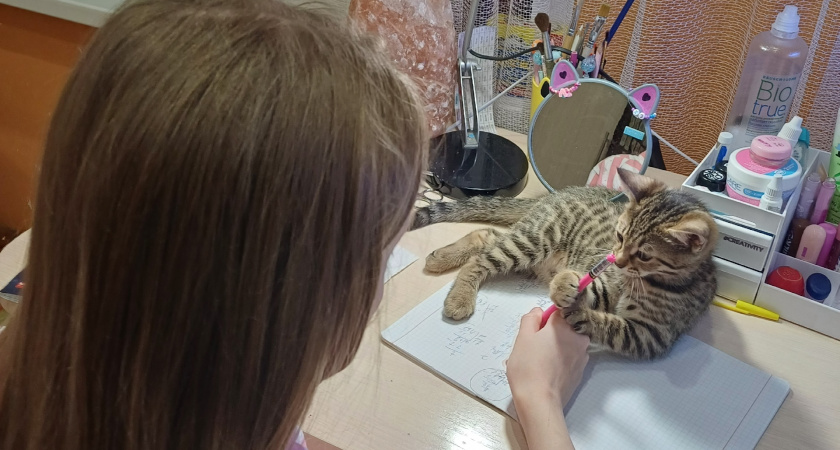 Имена для детей, рожденных в августе: сила характера и имена для лидеров