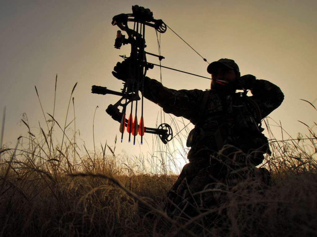 Как выбрать блочный лук для начинающего