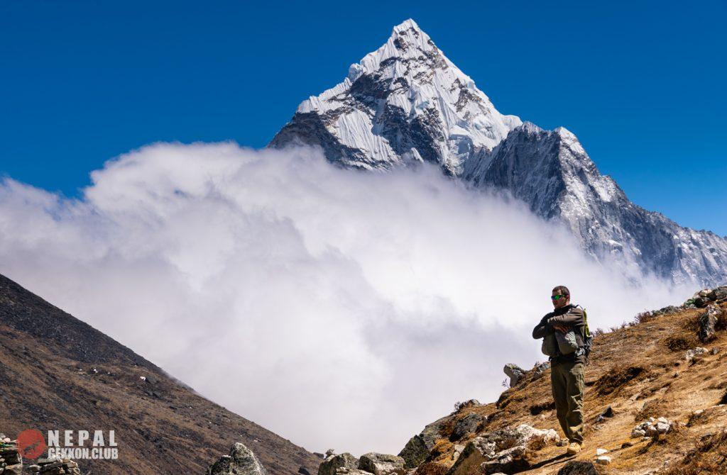 Интересные факты о ламах — ТОП 21 факт о выносливости в горах