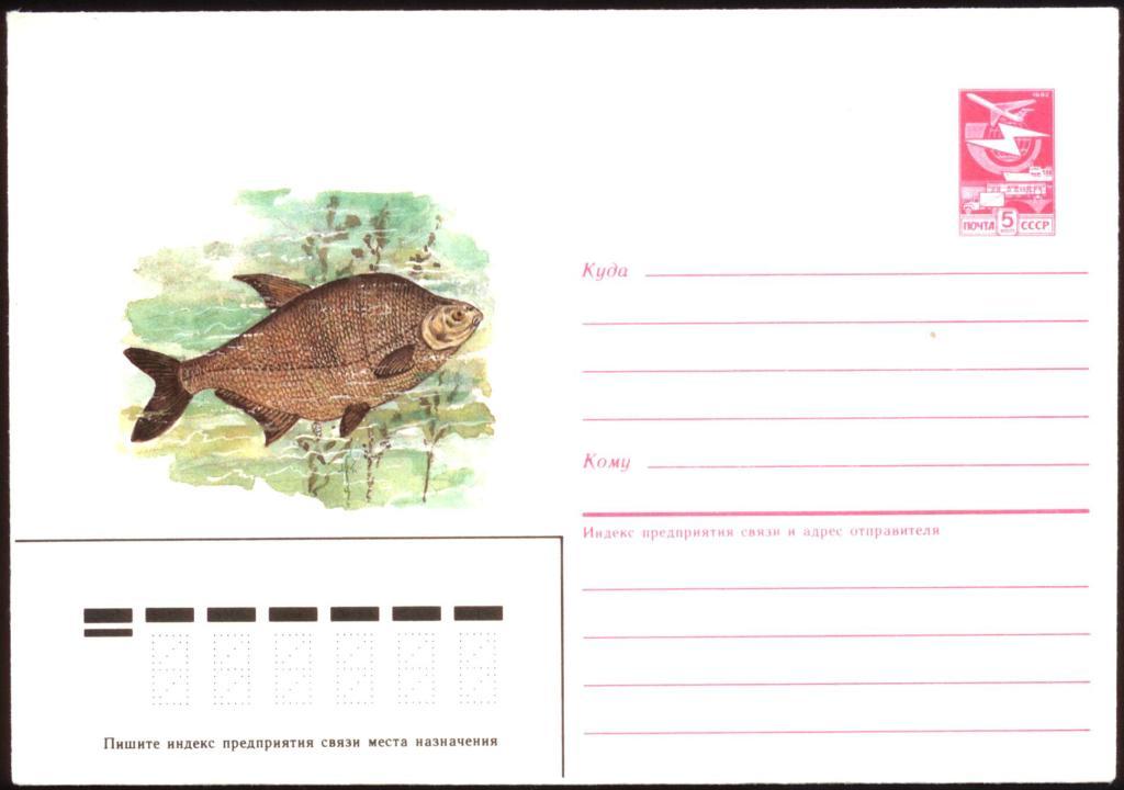 Интересные факты о моржах — ТОП 26 фактов о бивнях и холоде