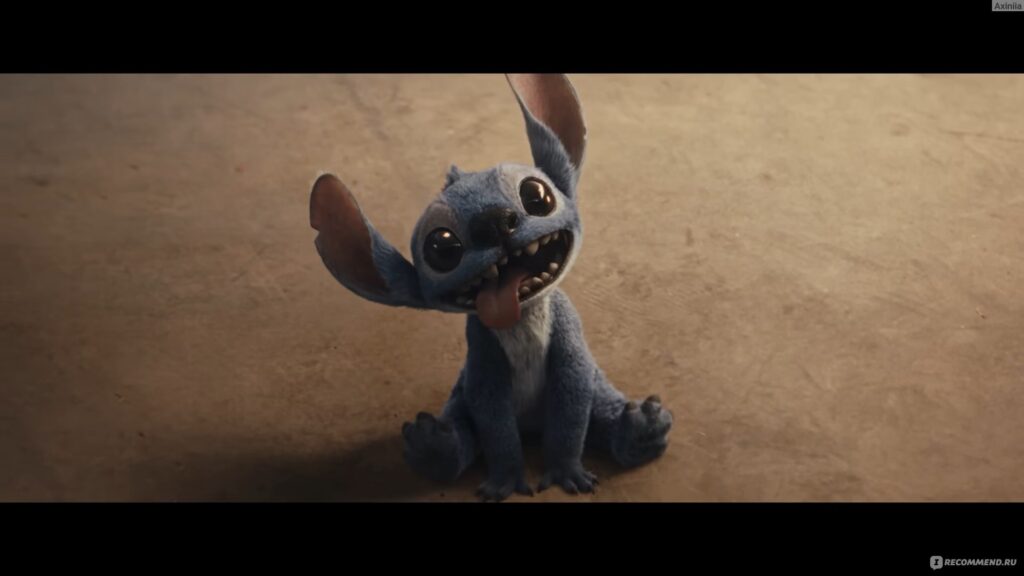 Интересные факты об осьминогах — ТОП 36 фактов об интеллекте и маскировке